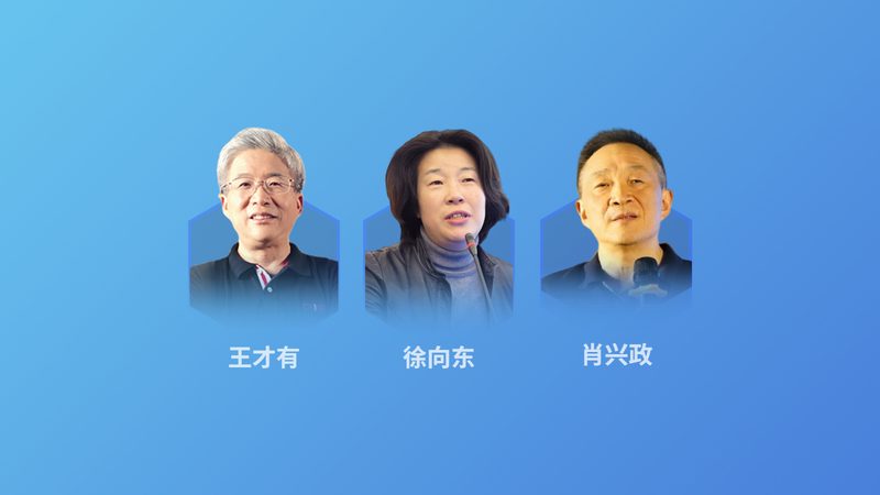 足底反射区模型：揭开慢性病管理的神秘面纱**